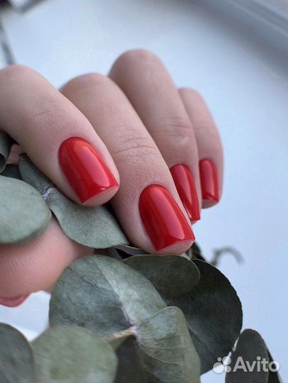 Маникюр и педикюр