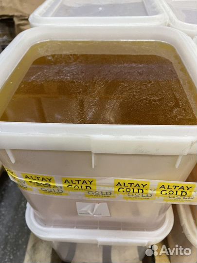 Свежий мед цветочный оптом