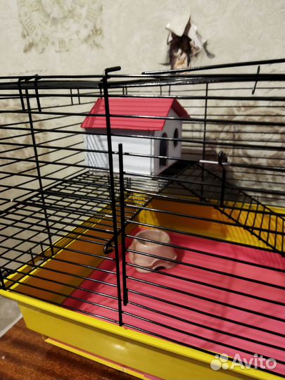 Клетка для грызунов