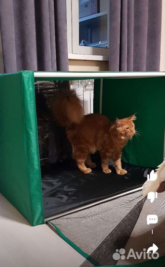 Клетка выставочная 90*70*70