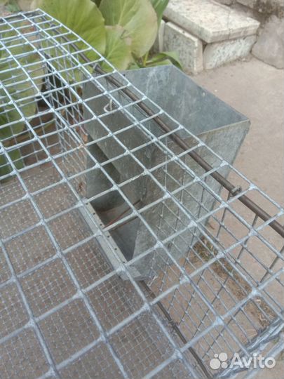 Клетка и переноска для перепелов и куриц