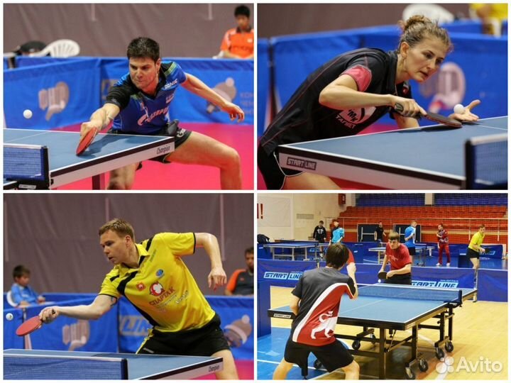Настольный теннис с инвентарем (ТЦ Континент)