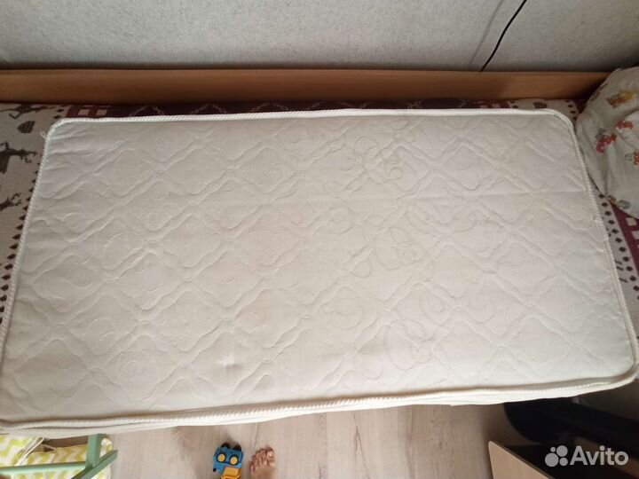 Отдам бесплатно