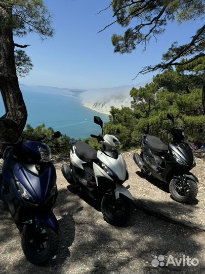 Аренда скутера геленджик