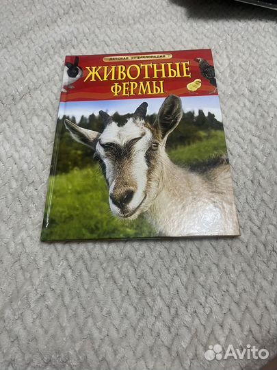 Книги детские на 3-5 лет – 8 разных