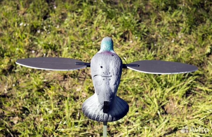 Механическое чучело голубя вяхиря mojo