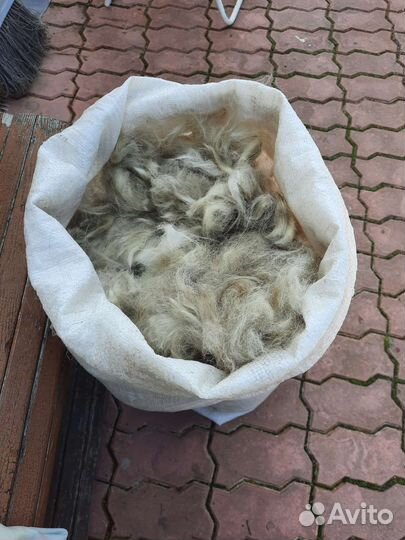 Собачья шерсть