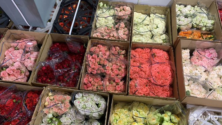 Цветы оптом