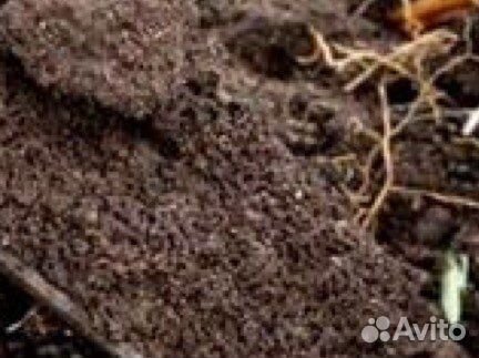 Грунт плодородная земля