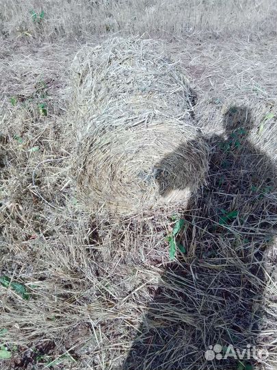 Солома в рулонах