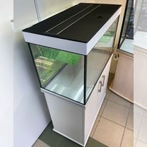 Аквариум для красноухой черепахи, Москва