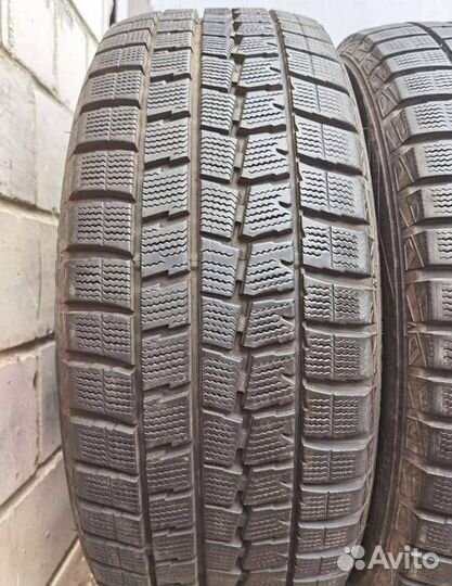 Dunlop Winter Maxx WM01 225/55 R17 97Q