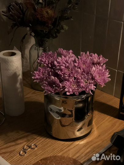 Хризантема, хризантема кустовая, букет