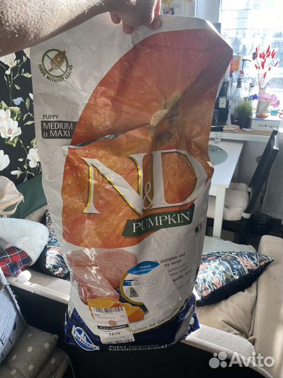 Корм farmina pumpkin medium and maxi