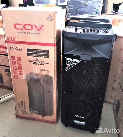 COV 111 120W Портативная акустическая система