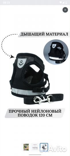 Шлейка и поводок для маленькой собаки