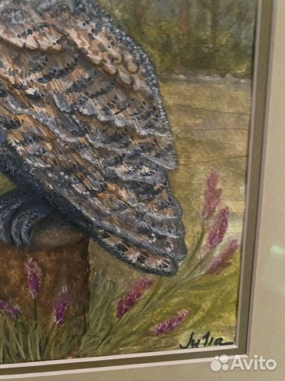 Акварель сова