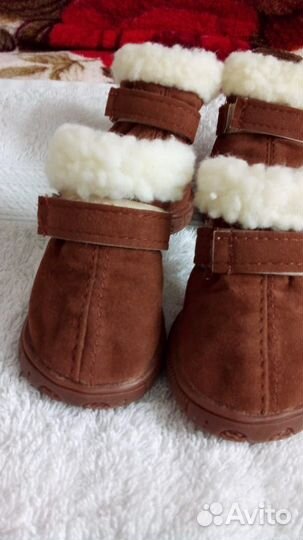 Сапожки и носки для собак (новые)