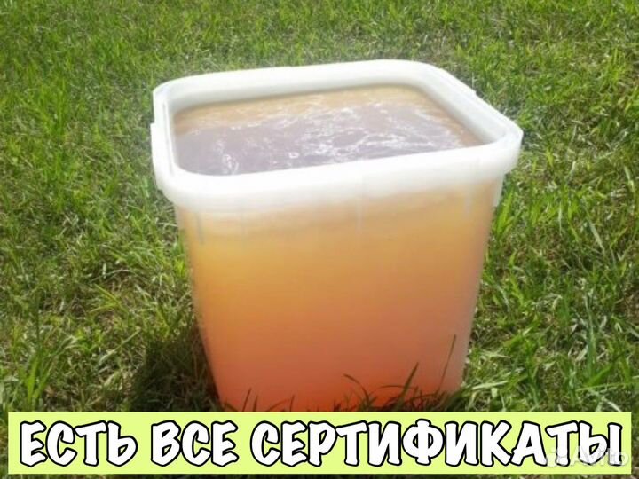 Мёд оптом от Алтайских пчёл