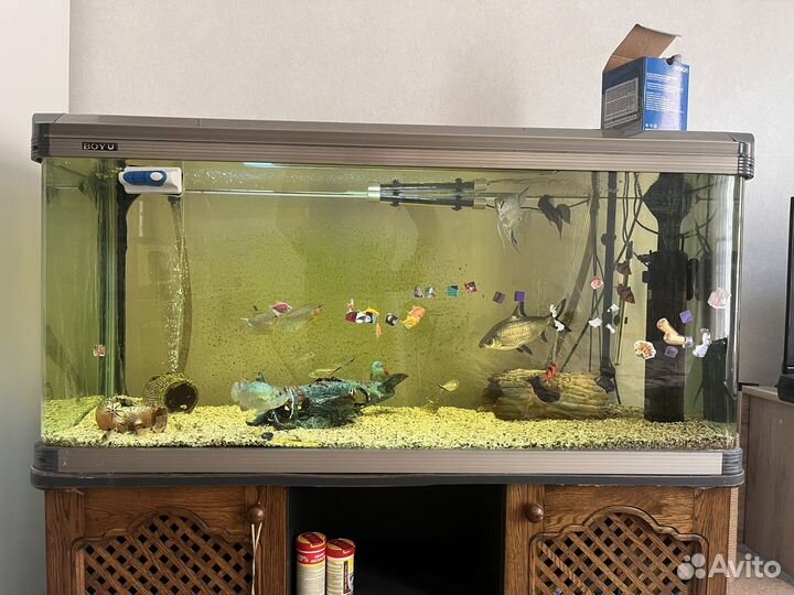 Аквариум с тумбой 300 литров