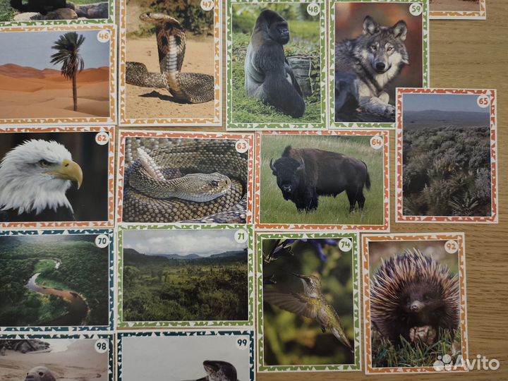 Наклейки Живая Планета (пуд)