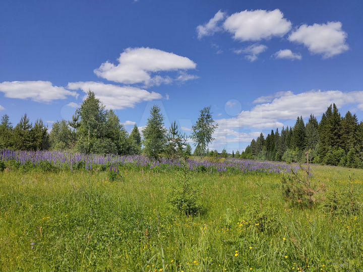 Участок 6 га (СНТ, ДНП)