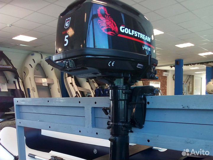Лодочный мотор golfstream T 5 BMS Витрина