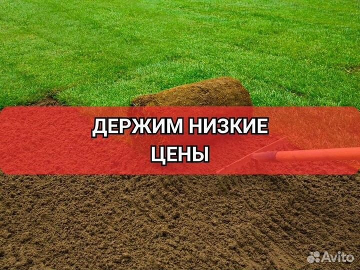 Рулонный газон от производителя стандарт