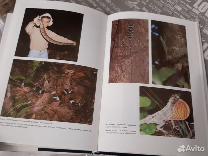 Книга про тропики зеленый ад- исчезающий рай