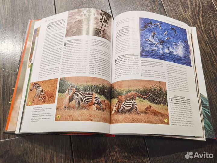 Книга 1000 чудес природы