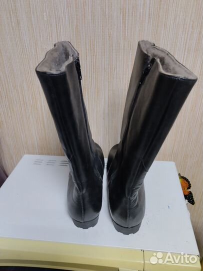 Сапоги женские