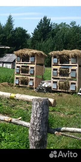 Клетка для кролика