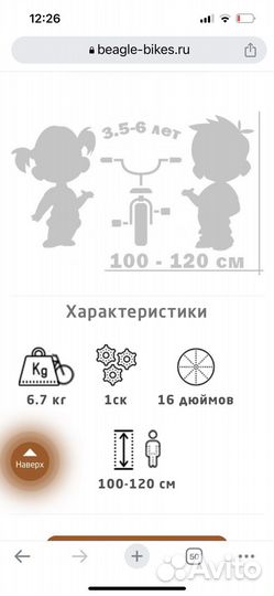 Велосипед Beagle 116 розовый