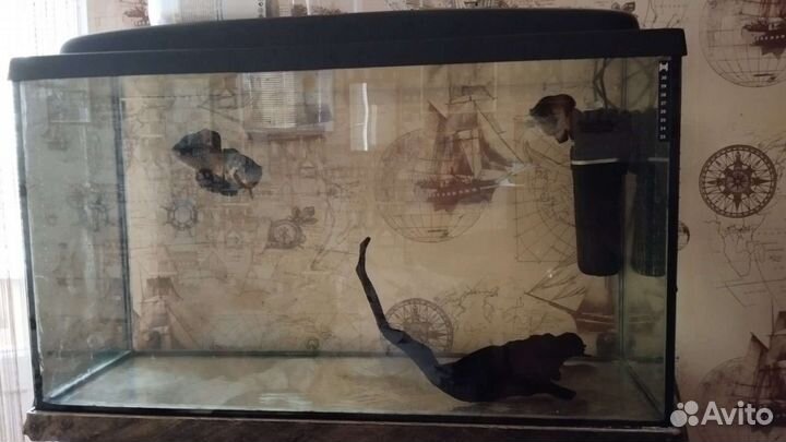 Настенный подвесной аквариум