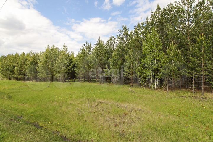 Участок 20 сот. (СНТ, ДНП)