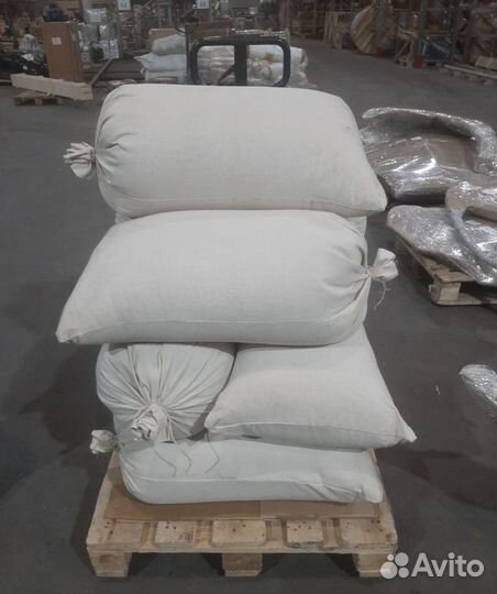 Семена / Ель обыкновенная