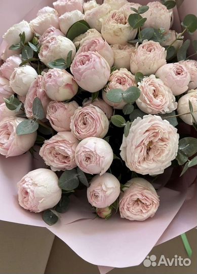 Пионовидная роза. Доставка