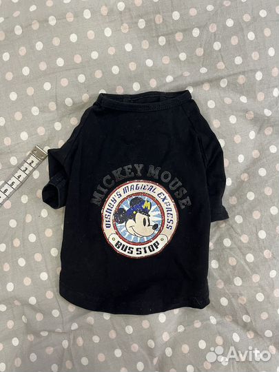 Вещи для маленьких собак