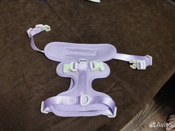 Шлейка для маленькой собаки