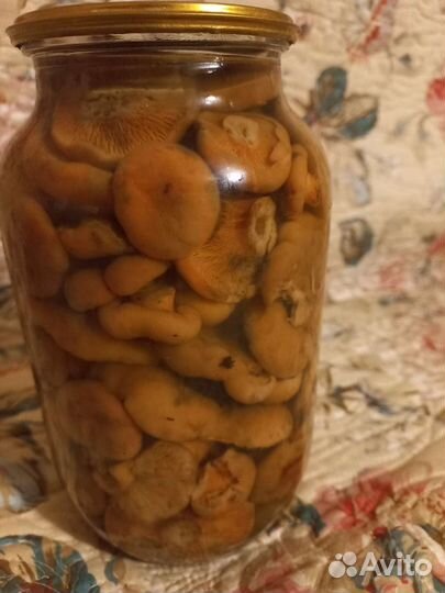 Грибы рыжики, грузди