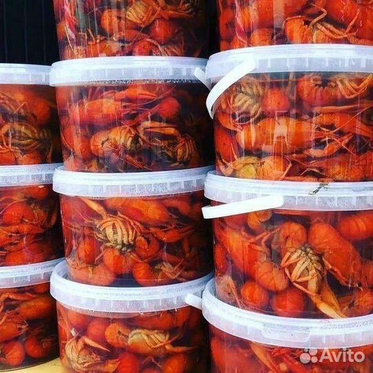 Живые раки с доставкой