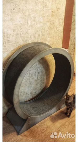 Беговое колесо для кошек, Брянск