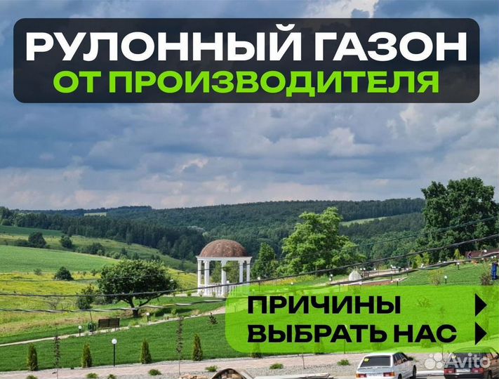 Рулонный газон Универсальный. От производителя