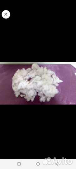 Шерсть овцы