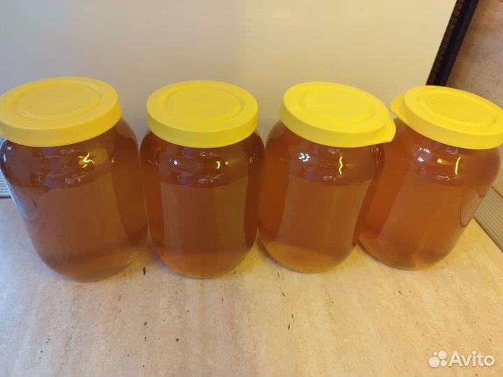 Мед цветочный с рапсом. Бесплатная доставка