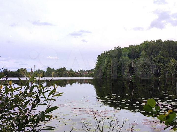 Участок 25 сот. (ИЖС)