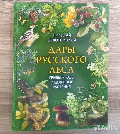 Золотницкий. Дары русского леса
