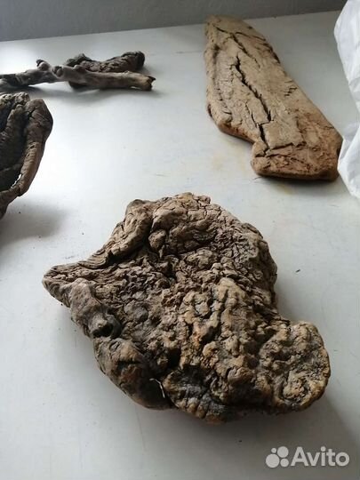 Коряги для аквариума и террариума