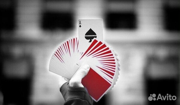 NOC v3s (все цвета)