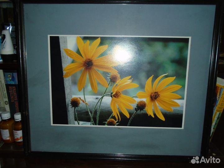 Паспарту и рамы для картин, фотоработы с выставки